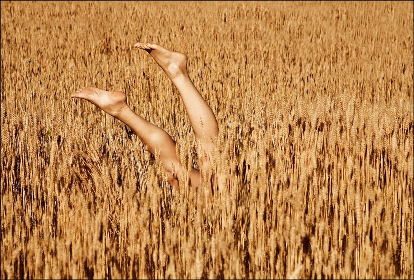 Dive in by Ivo Gregorič