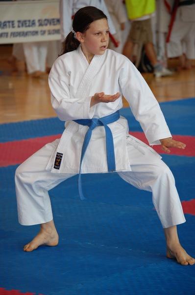 karate by Anže Stegel