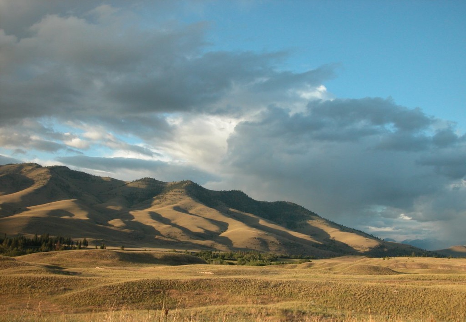 Montana by Spela M.
