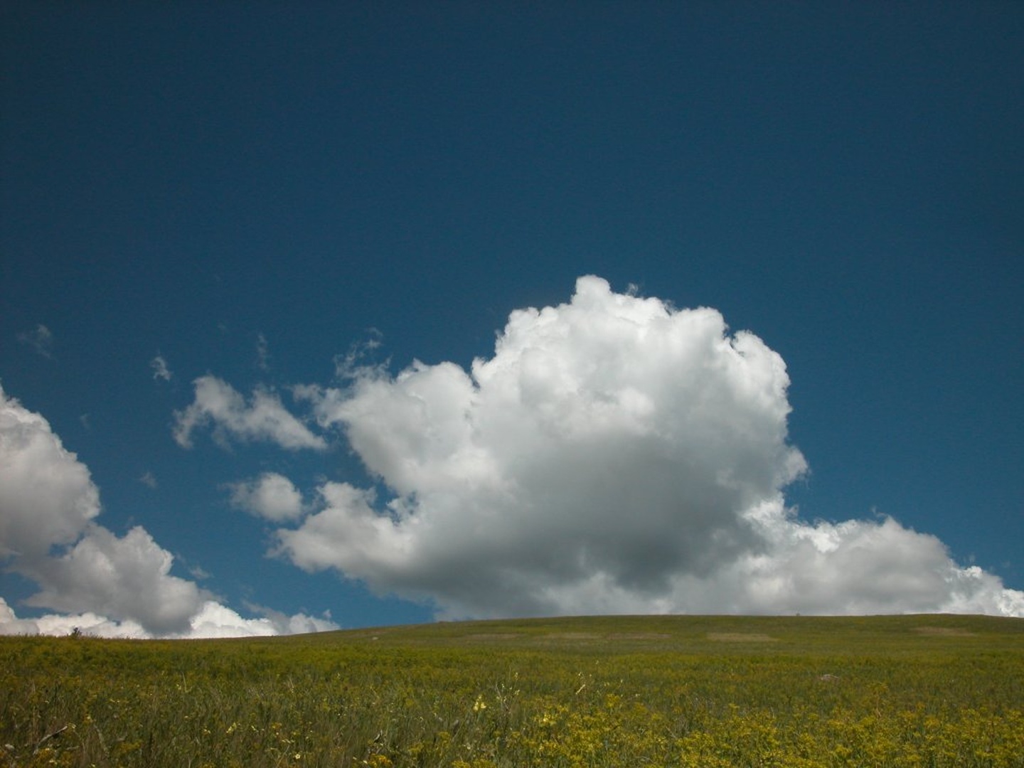 Montana BIG SKY COUNTRY by Spela M.