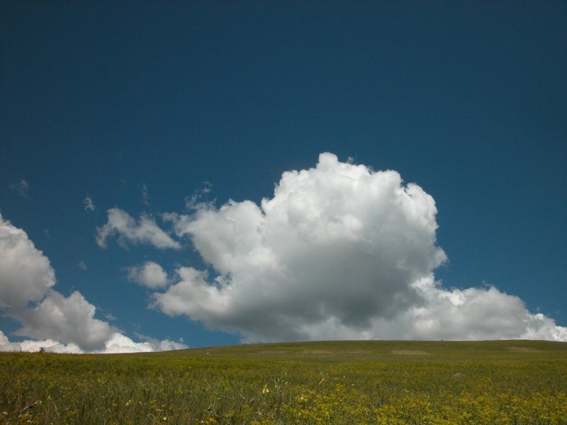 Montana BIG SKY COUNTRY by Spela M.