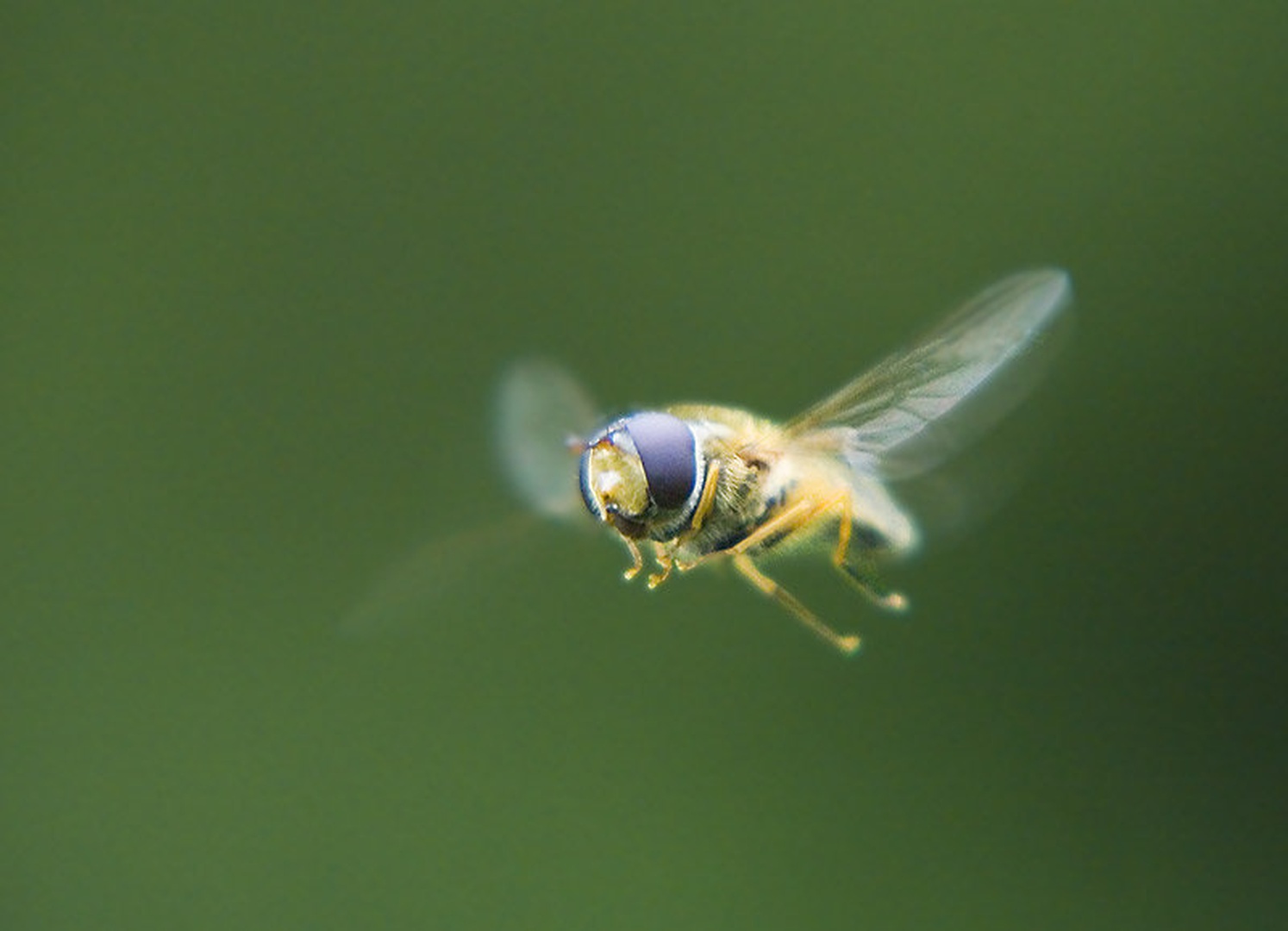 helikopter by