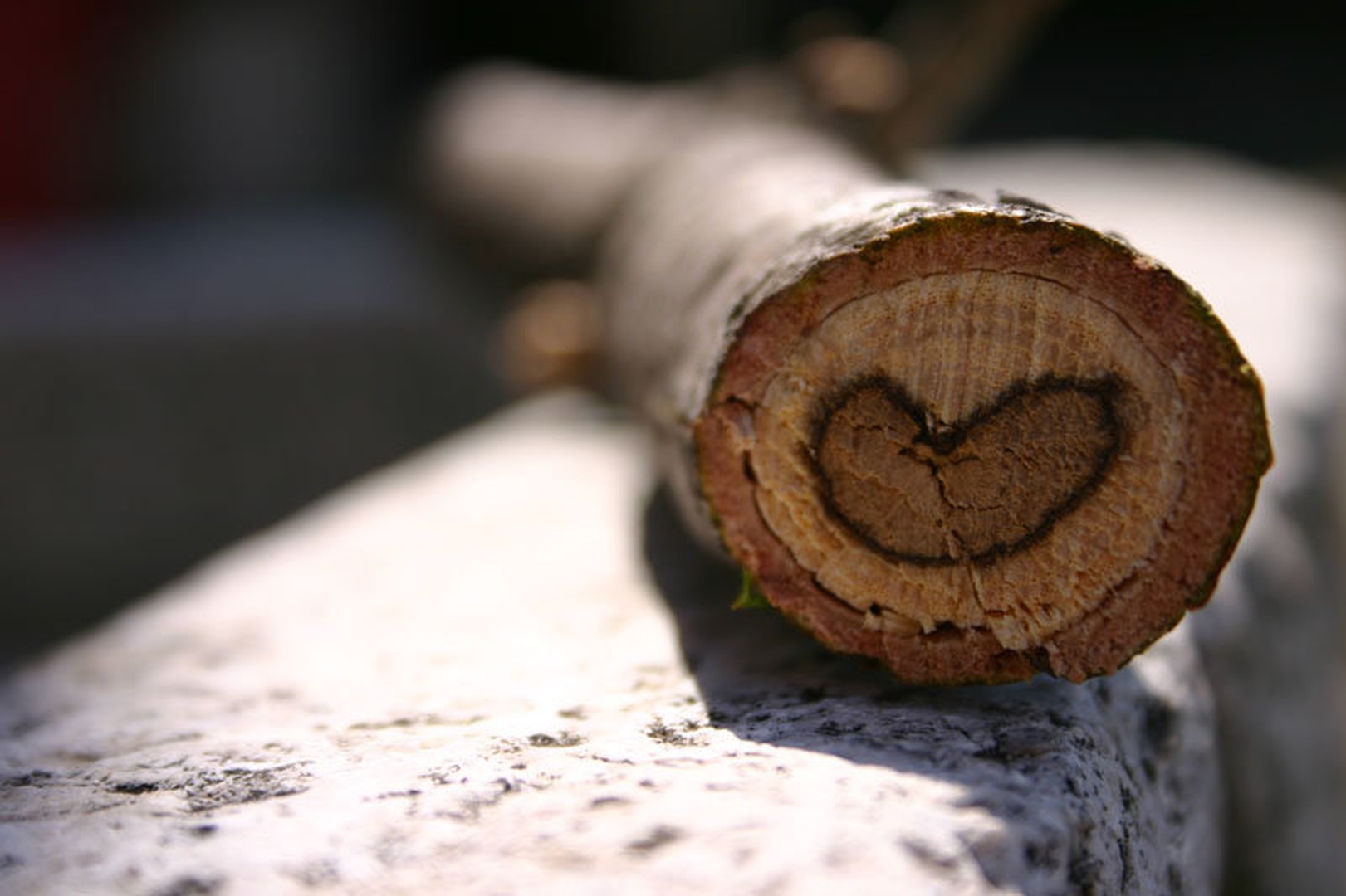 Simply love by Martina Kofol