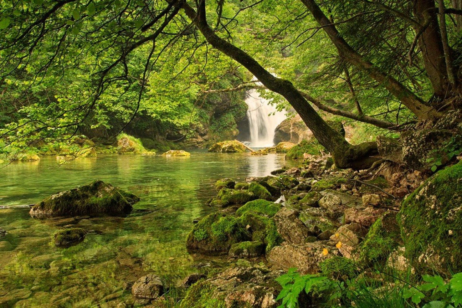 peacefulness V by Bor