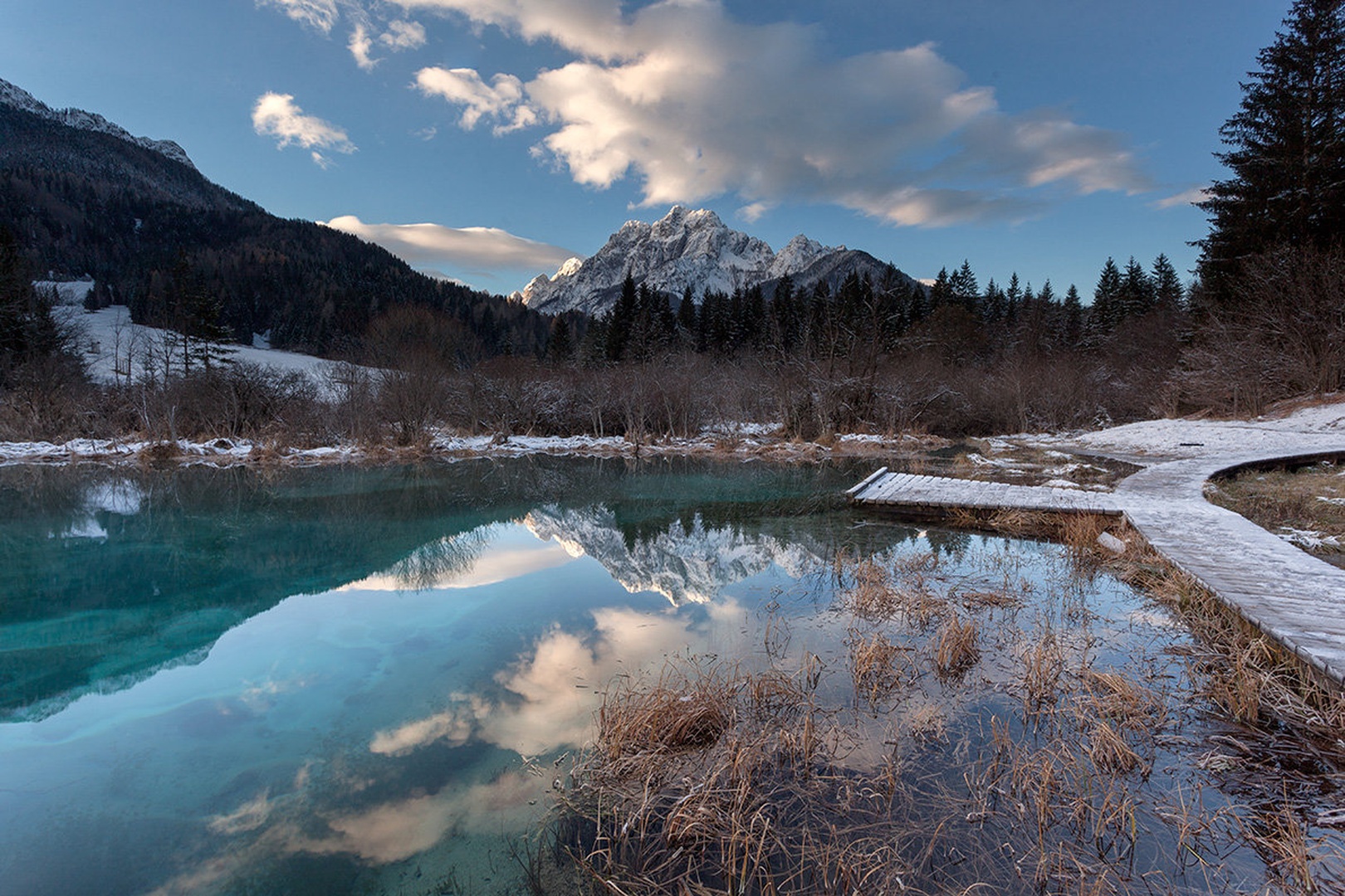 Zelenci by Bor