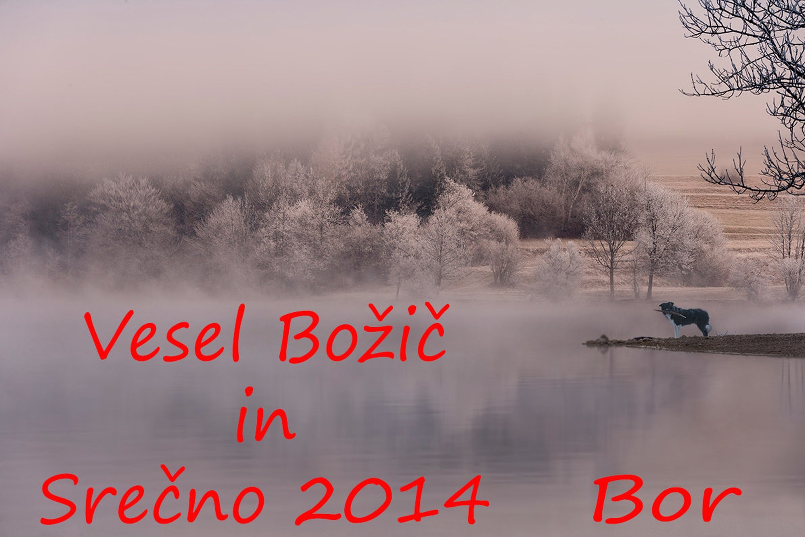 Vesel Božič in Srečno 2014 by Bor