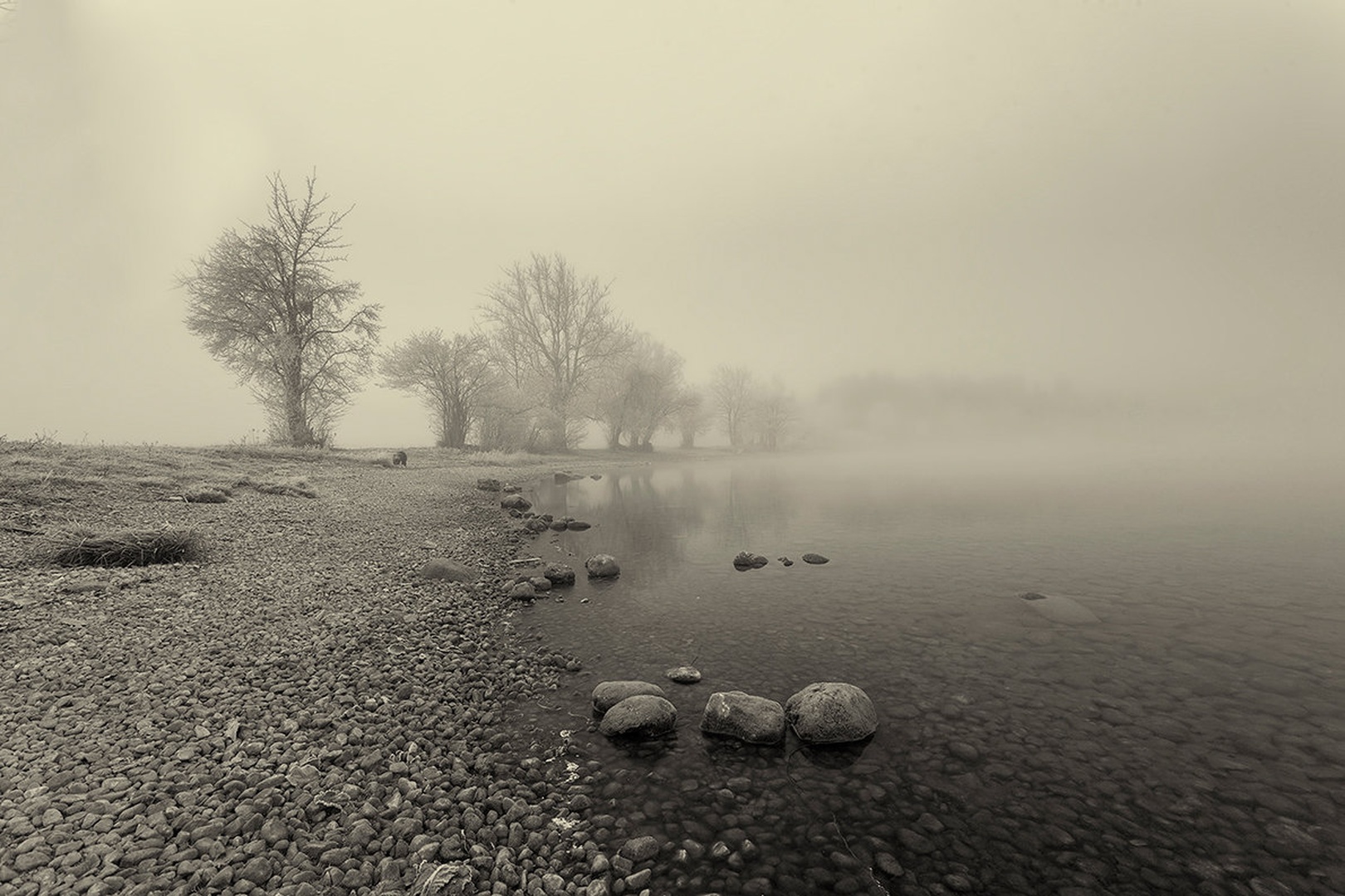megleno jutro by Bor