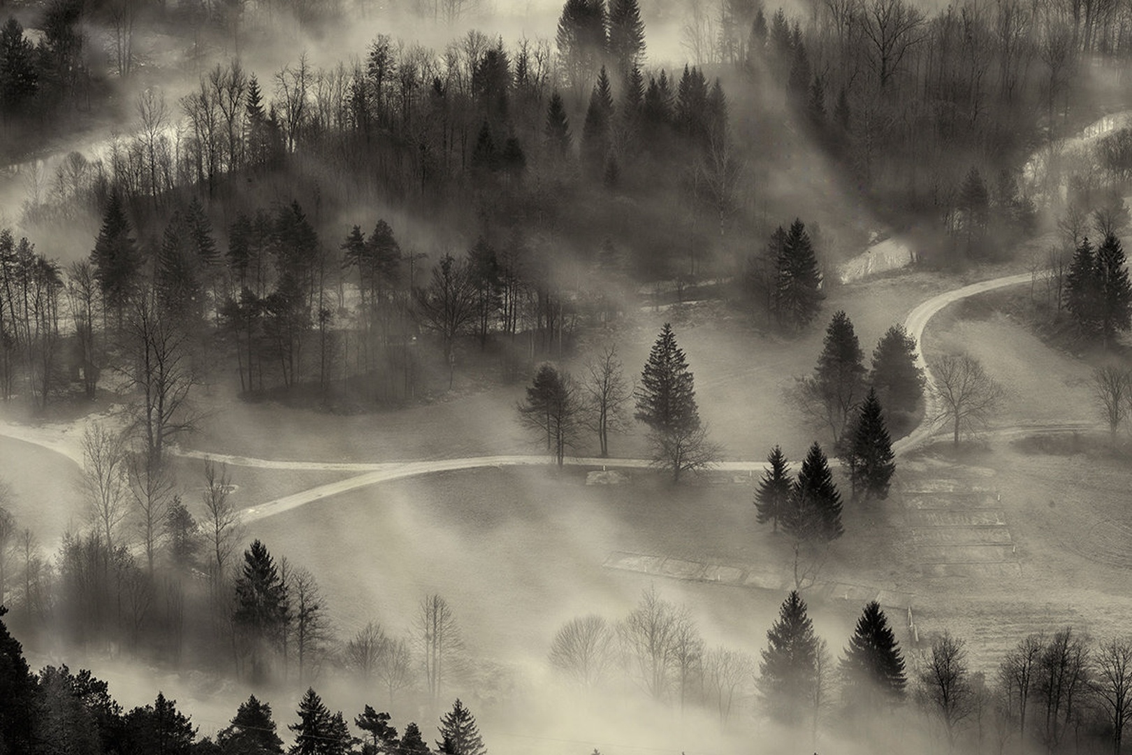 megleno jutro by Bor