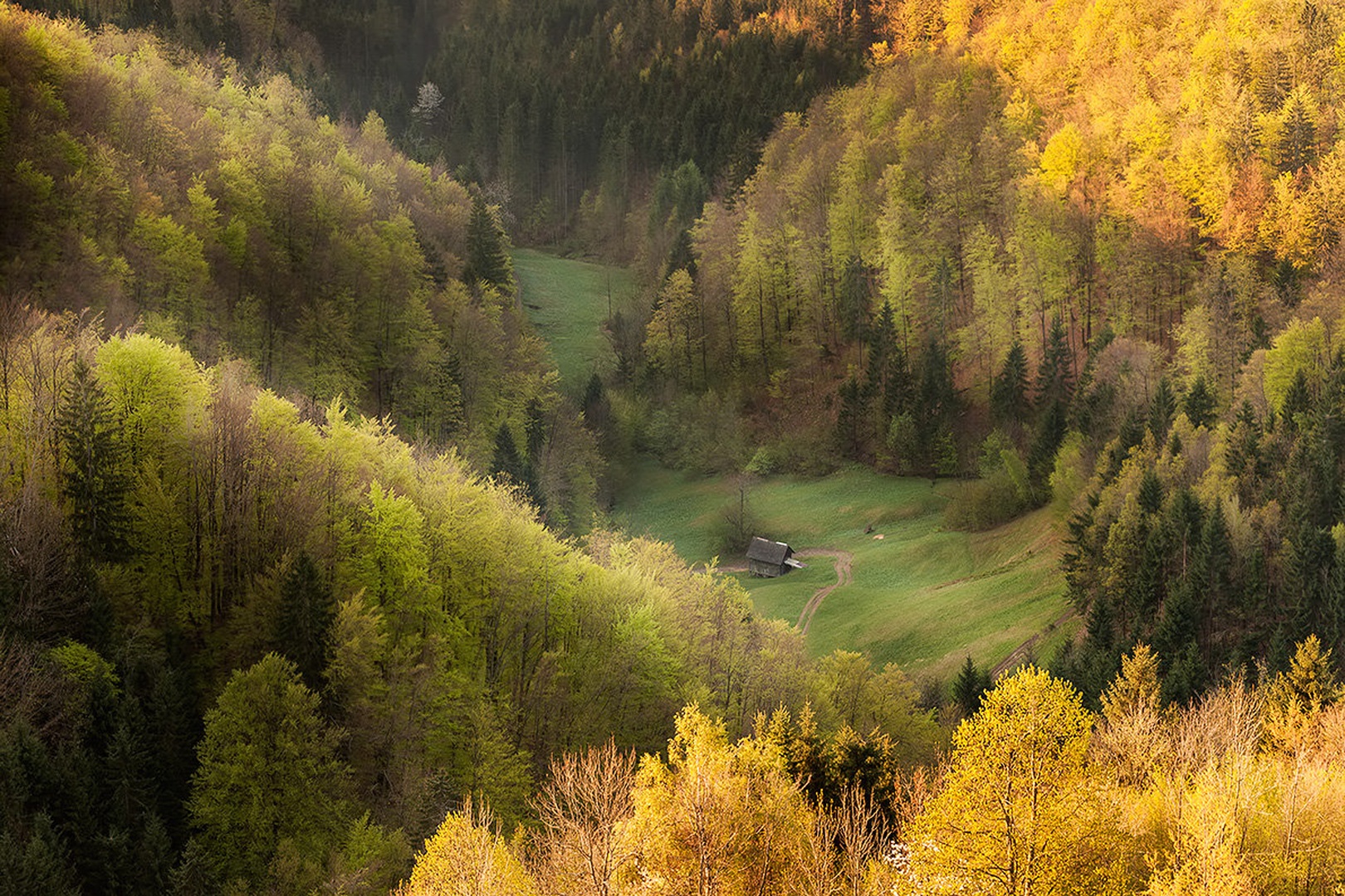 tišina by Bor