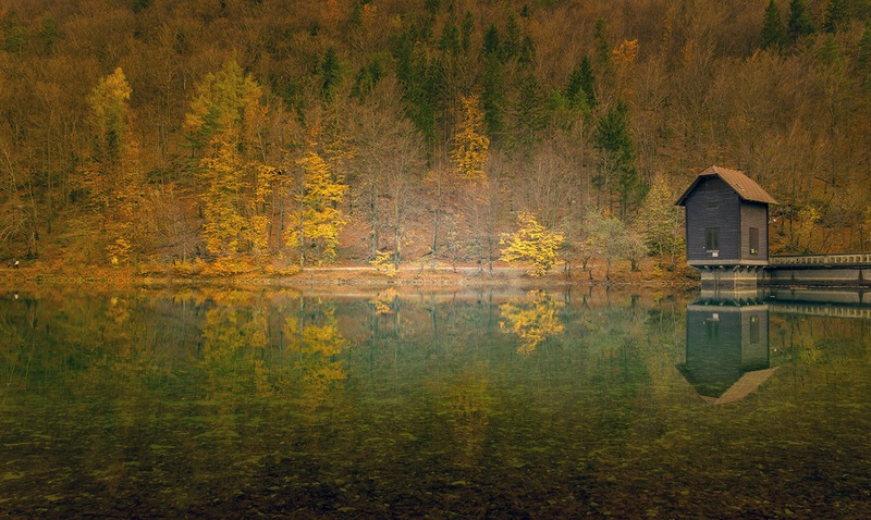 Jesenska Završnica by Bor
