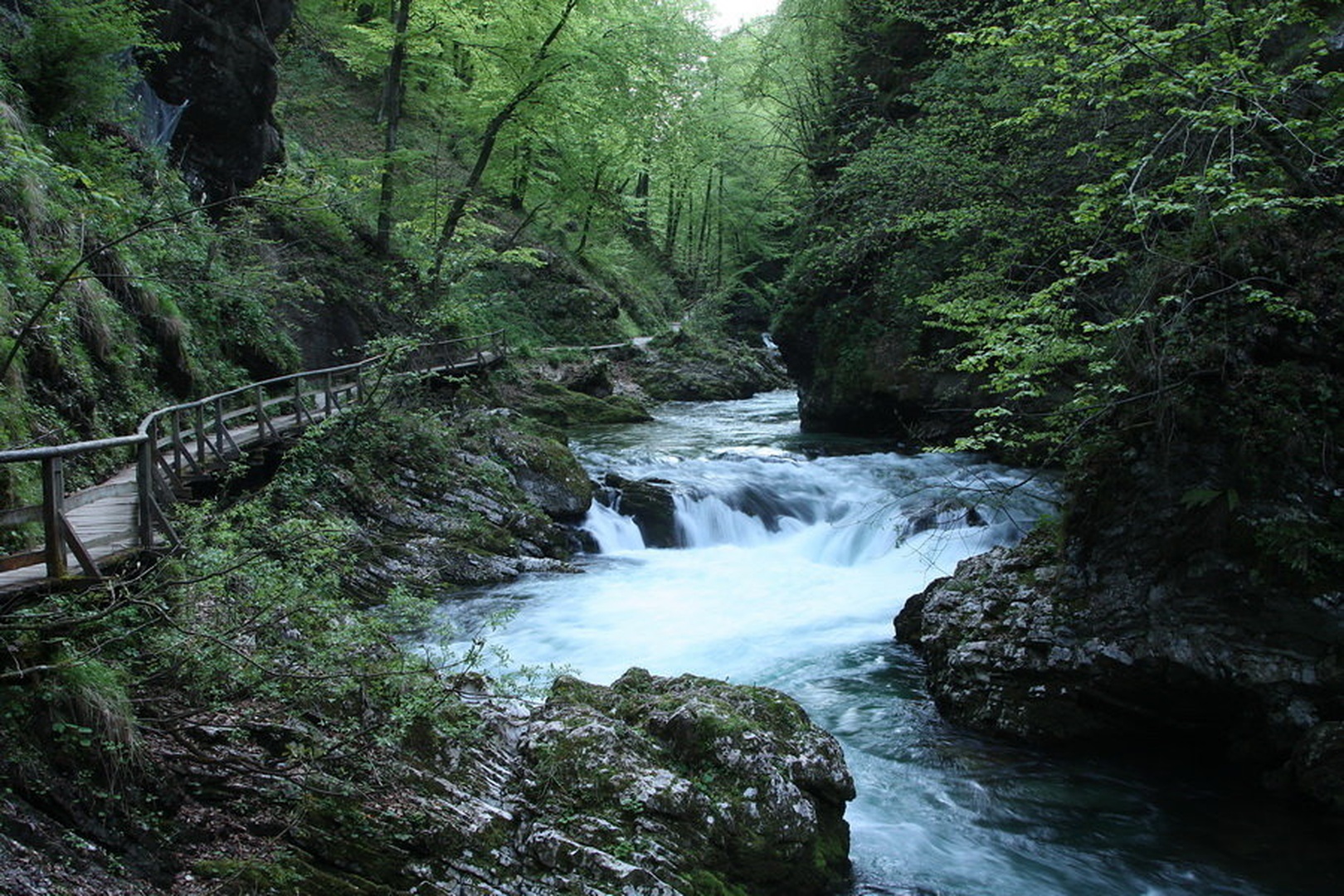 kod gre TVOJA pot by Bor