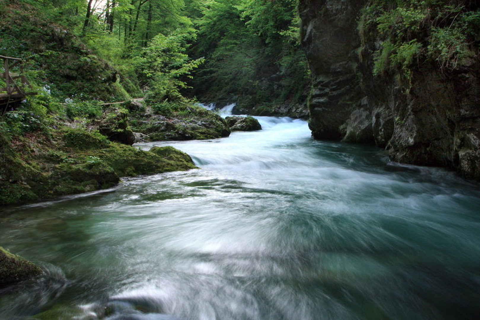 lepota in moč by Bor
