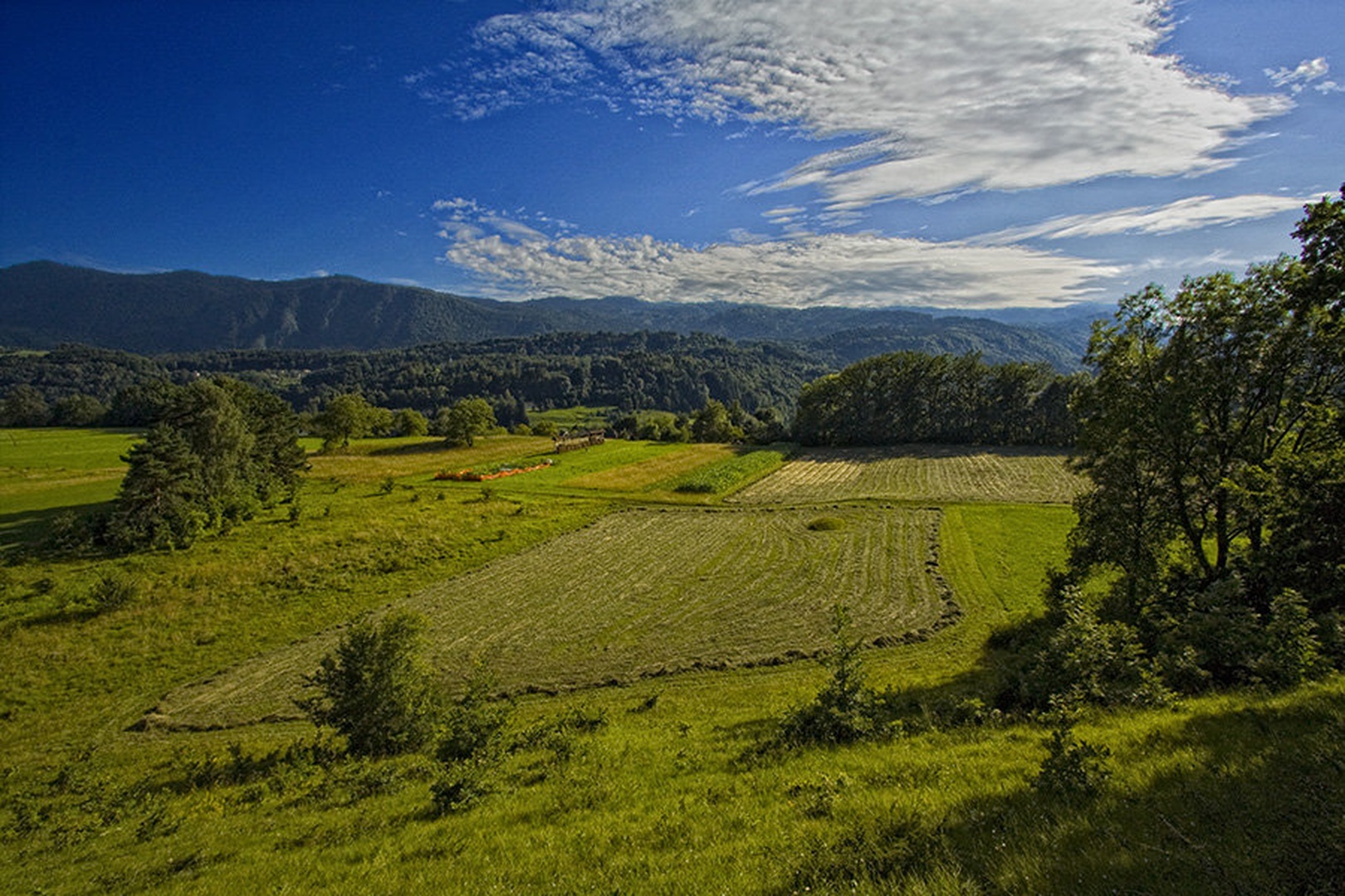 pokošeno... by Bor