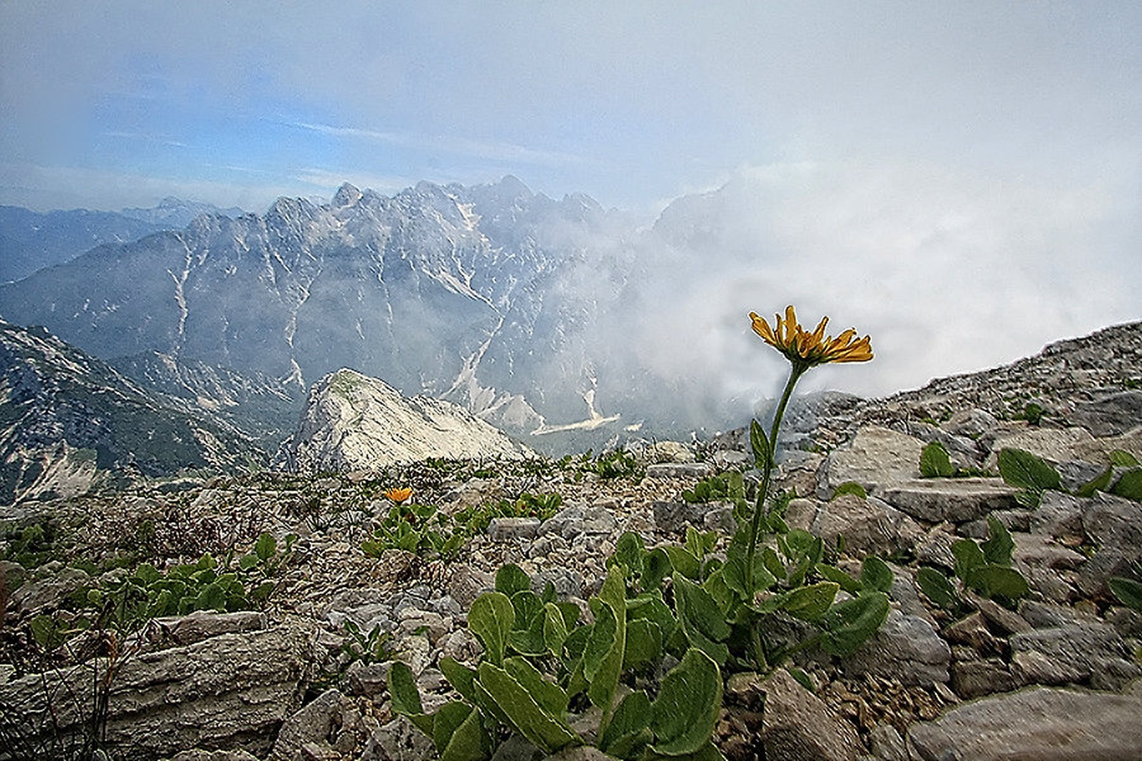 dve z razgledom by Bor