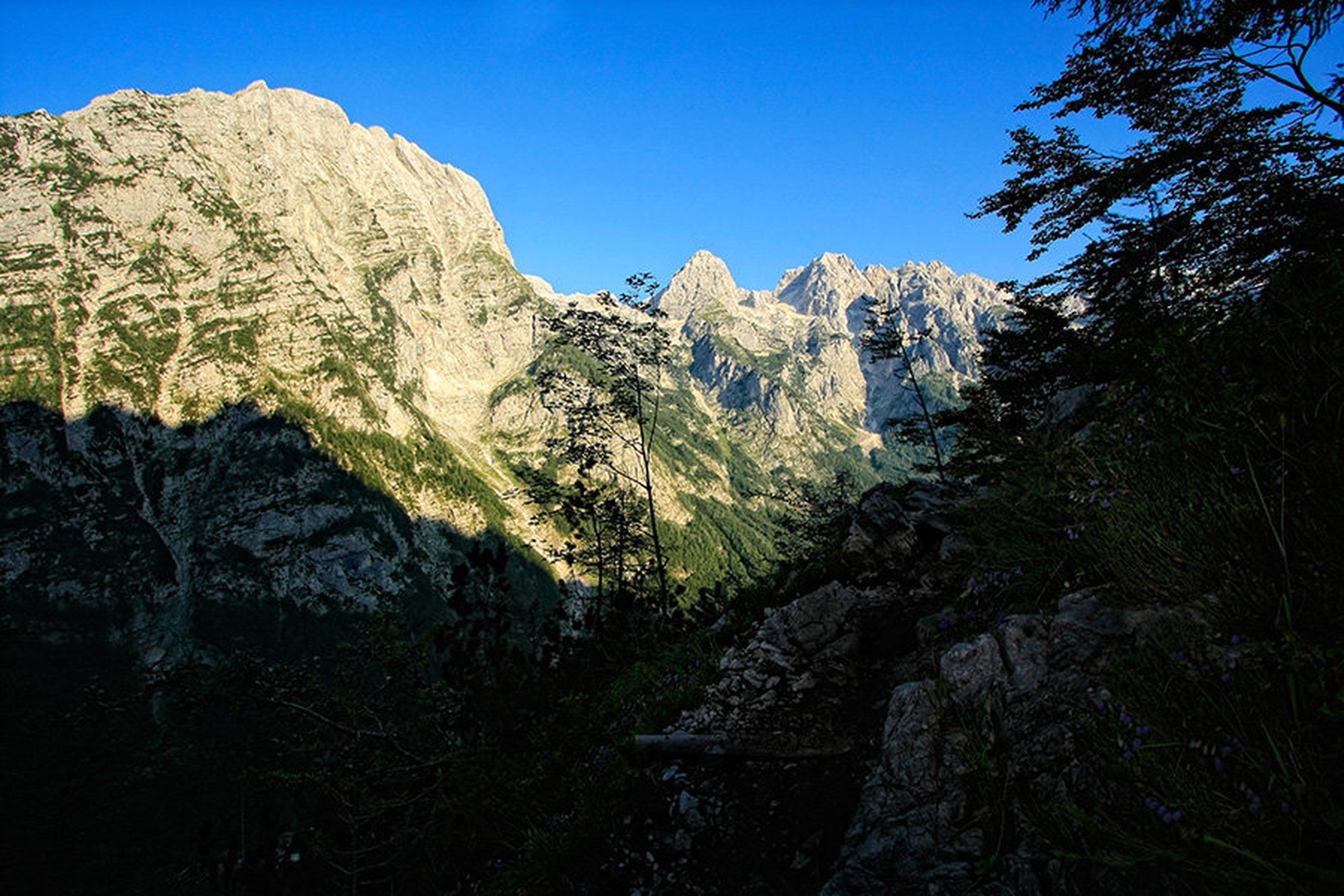 na Tominškovi by Bor