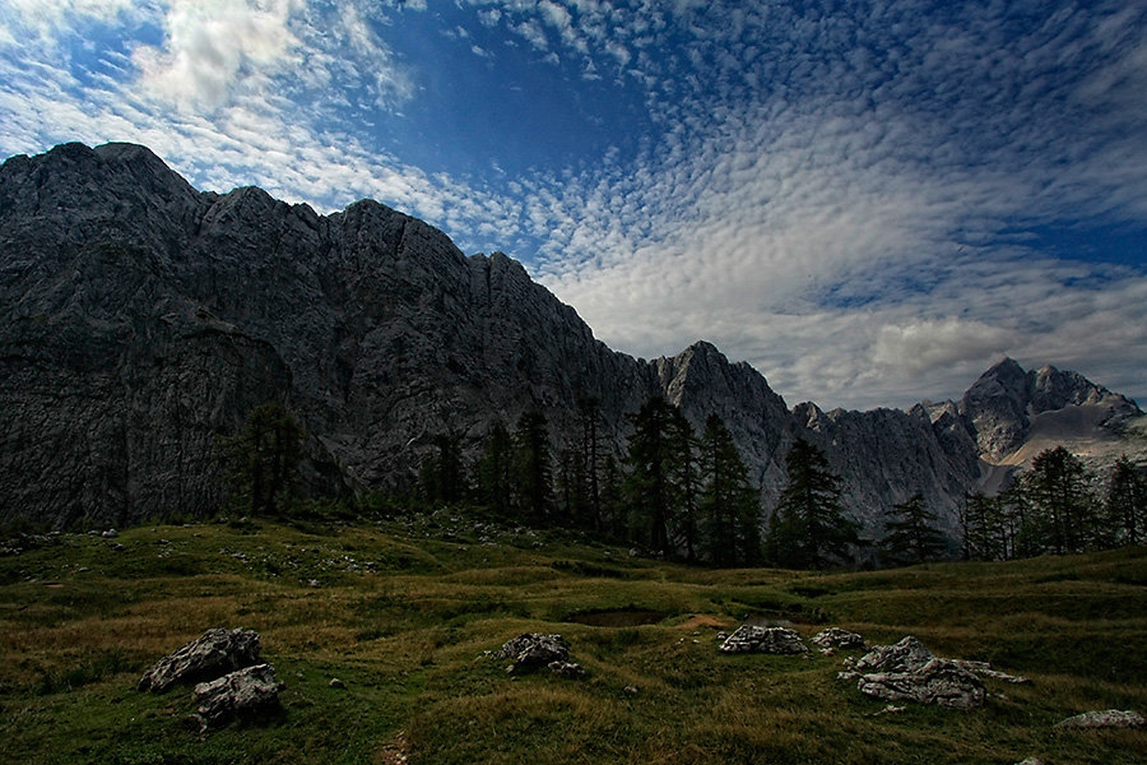 vijuge by Bor