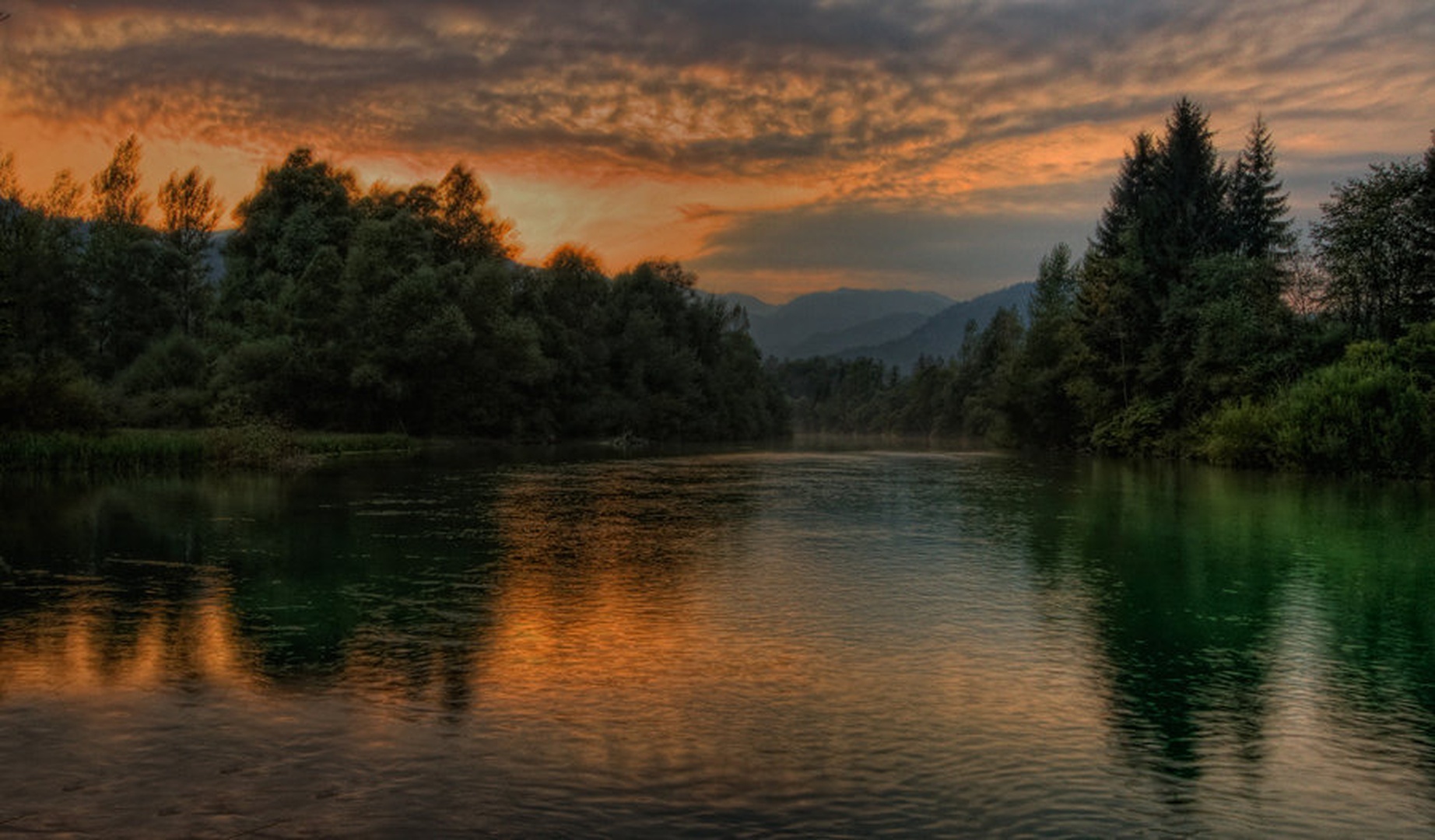 Sava šumi.. by Bor
