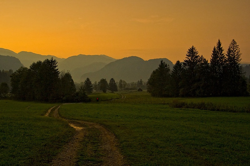 long way home by Bor