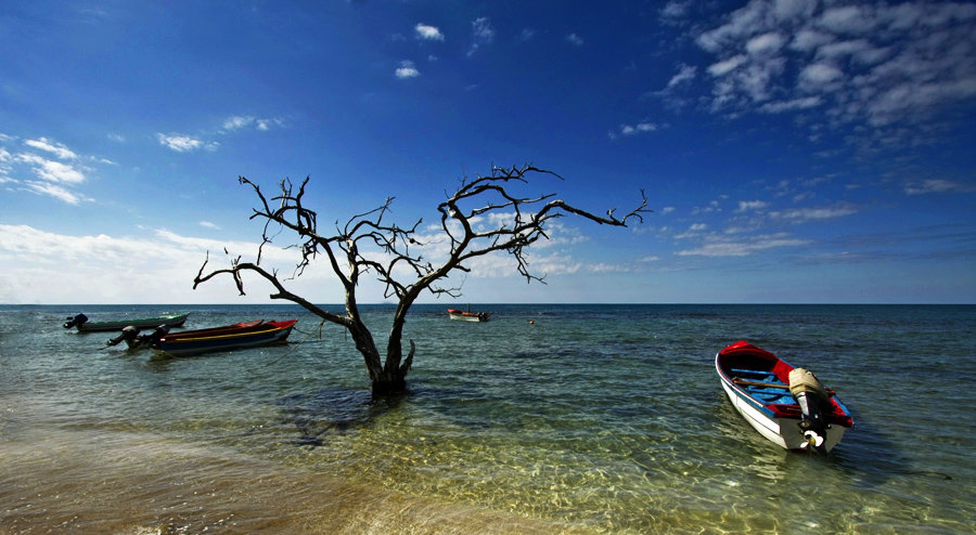 treasure beach Reloaded by Bor