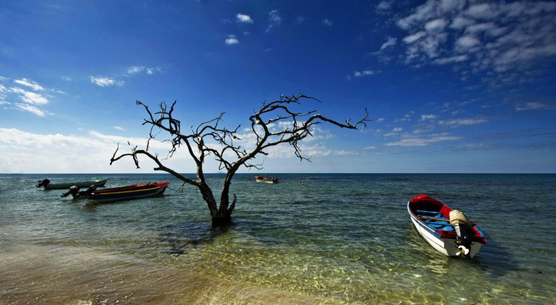 treasure beach Reloaded by Bor