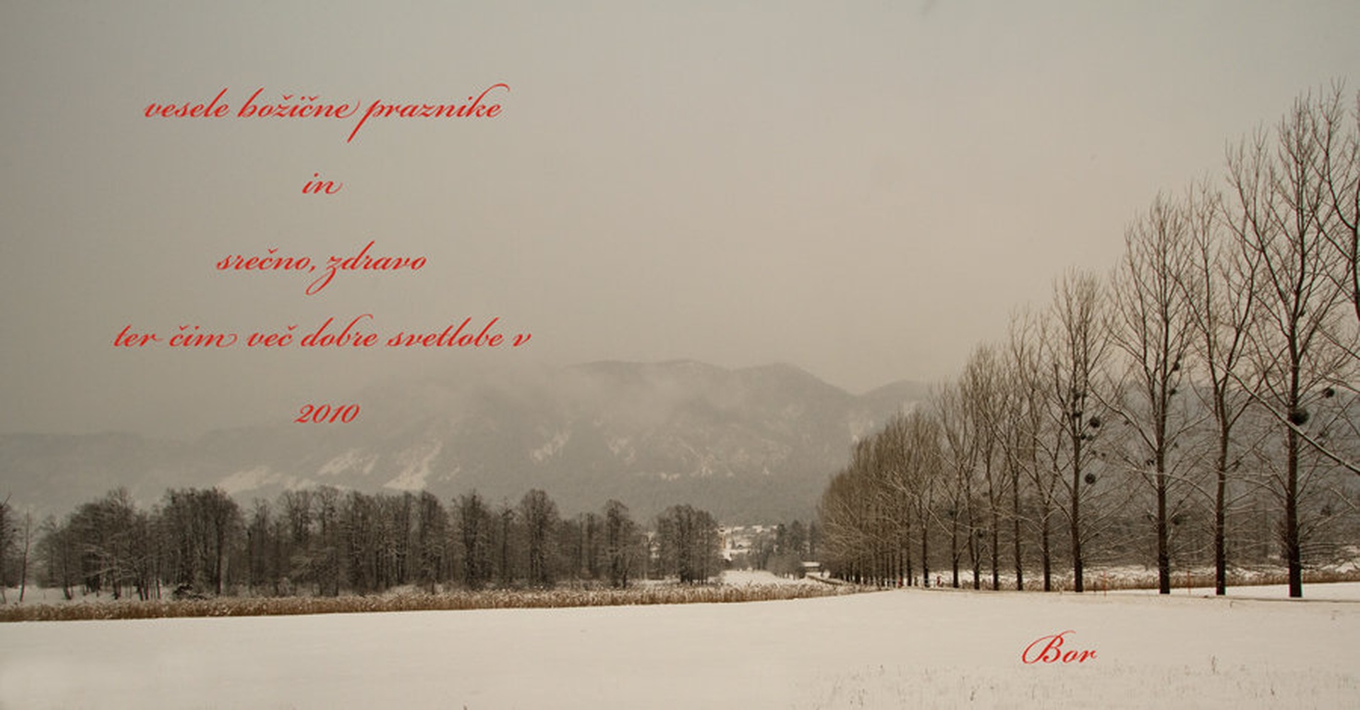 voščilo by Bor