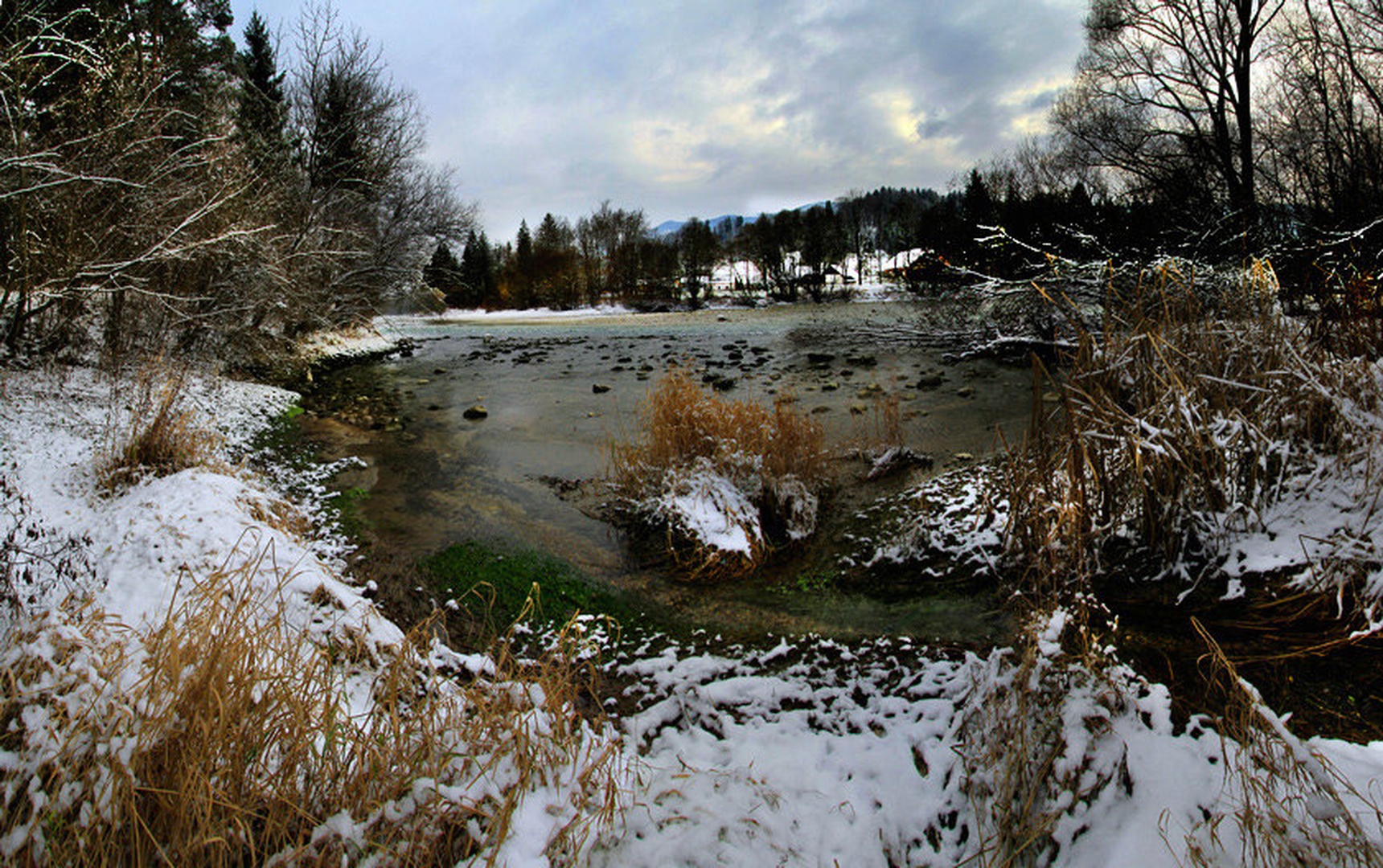 Sava šumi.. by Bor