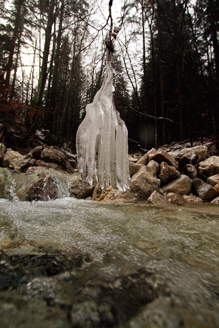 h2o by Bor