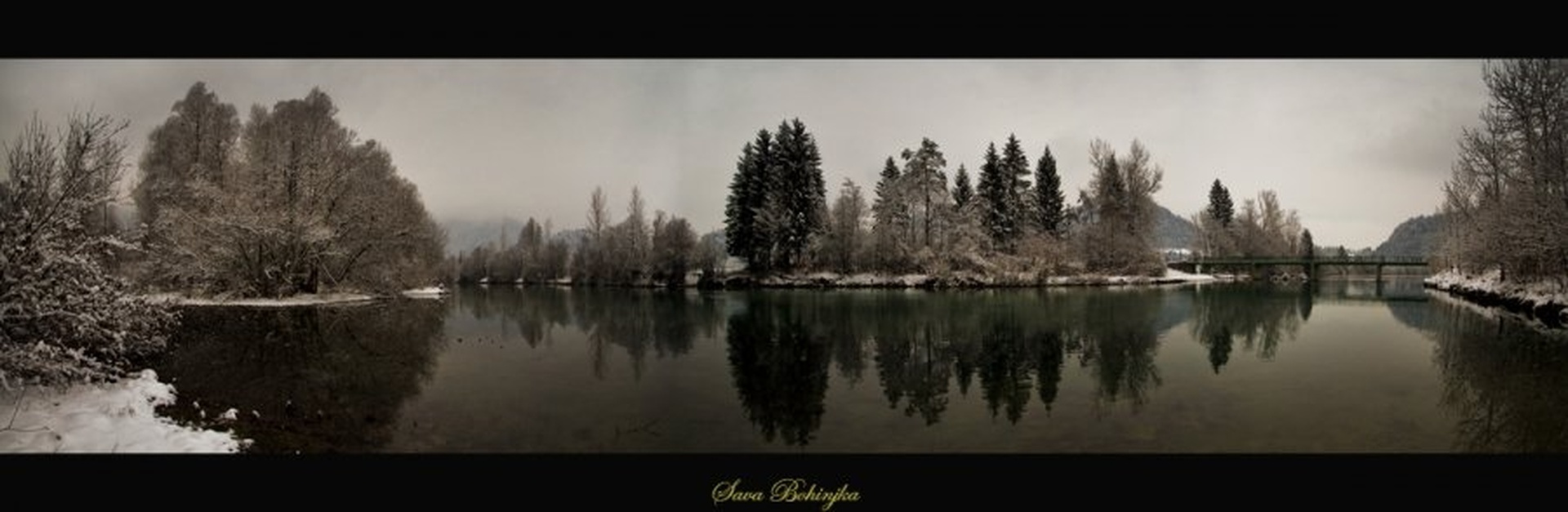 Sava Bohinjka by Bor