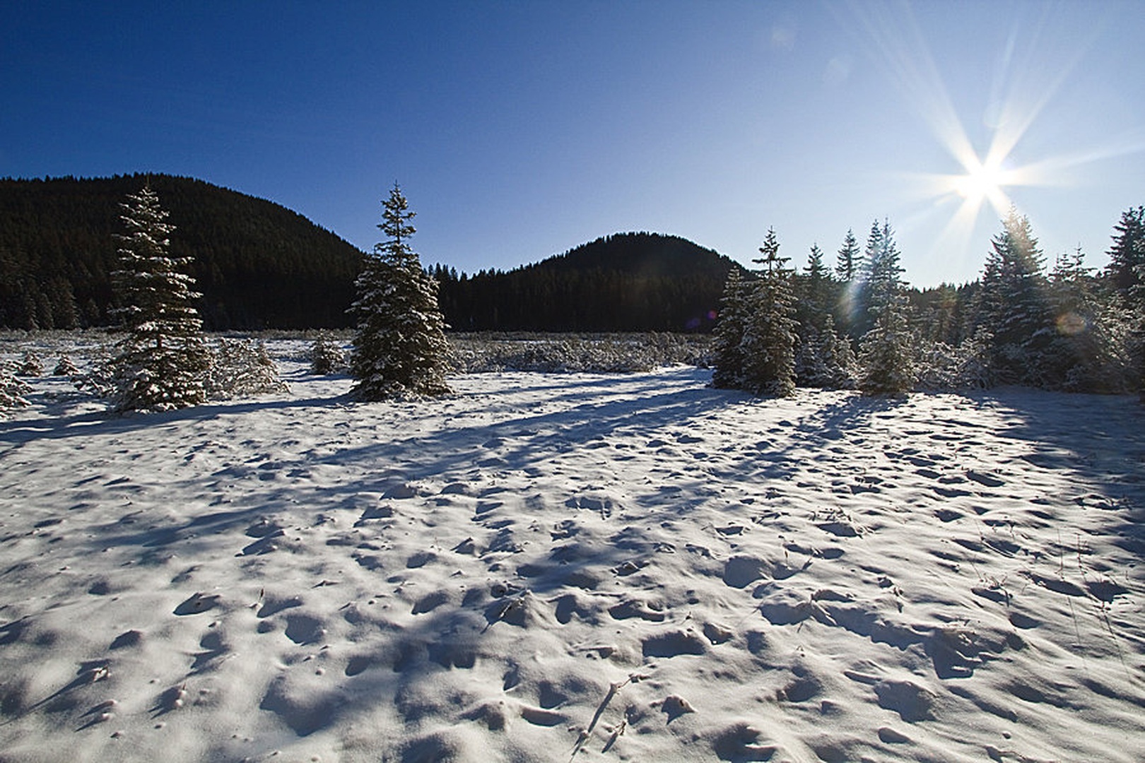 Šijec - Pokljuka by Bor