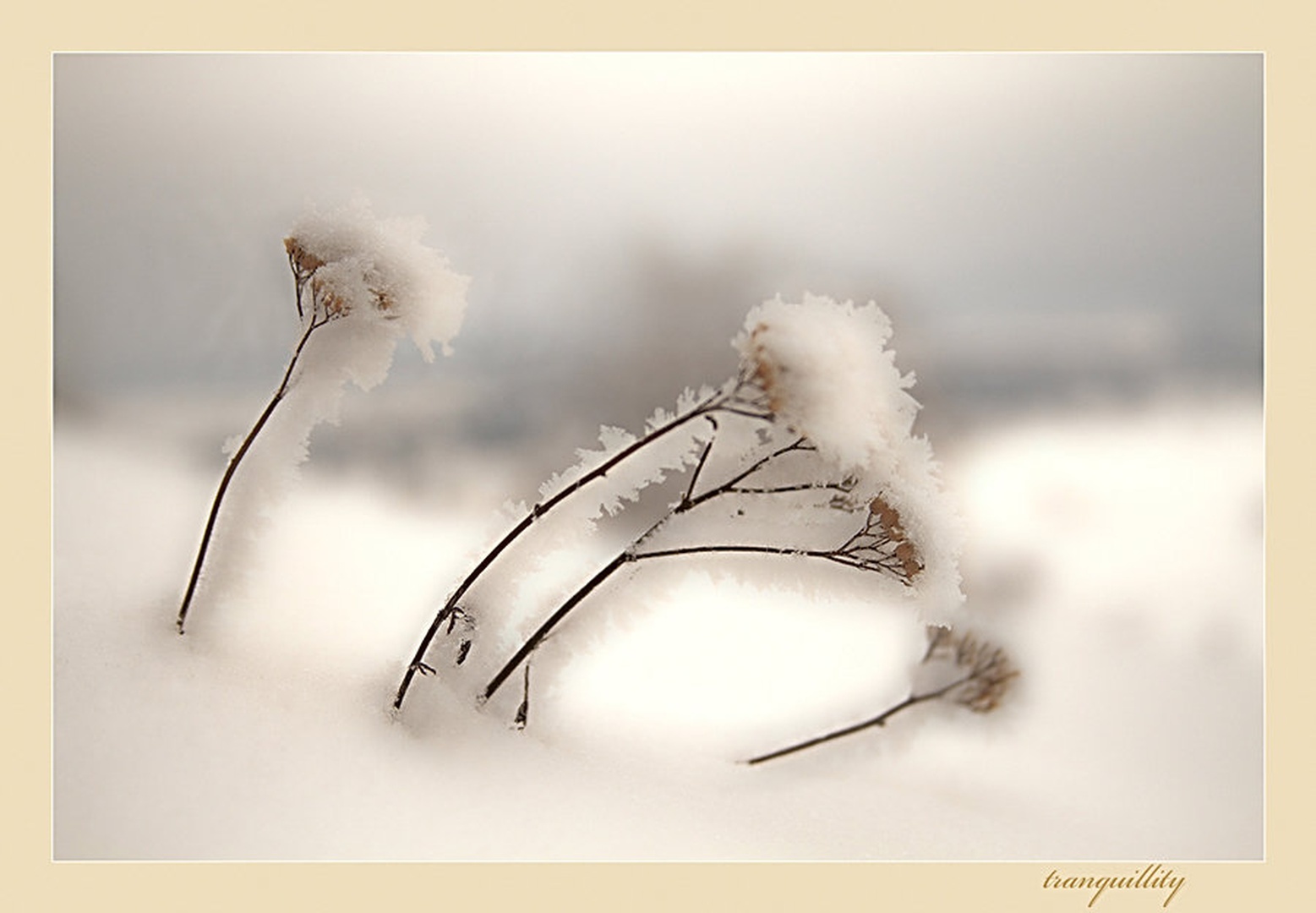 tranquillity reloaded by Bor