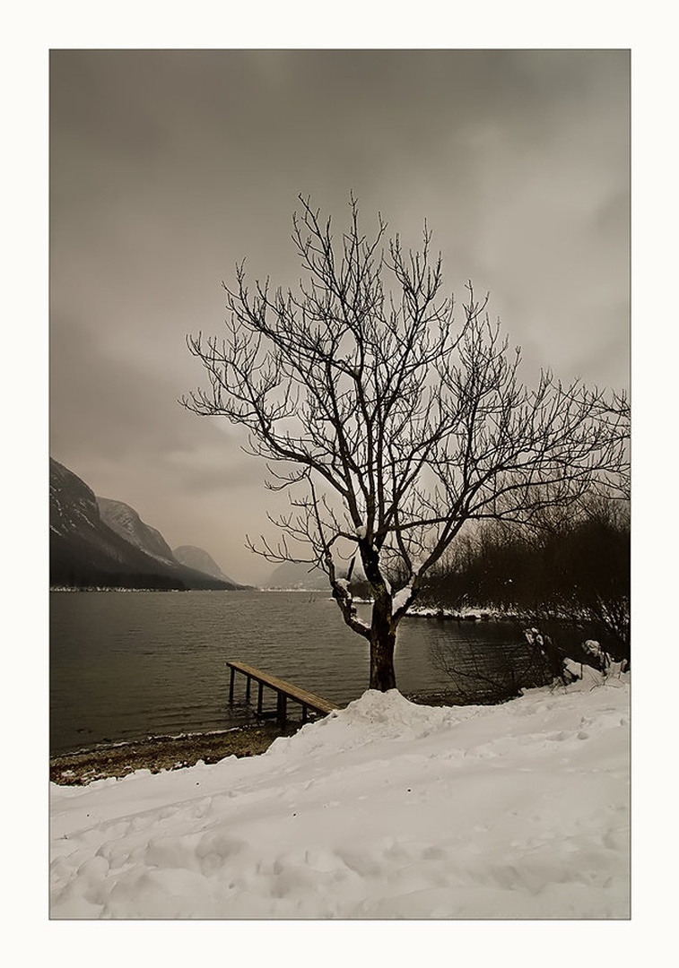 all alone by Bor