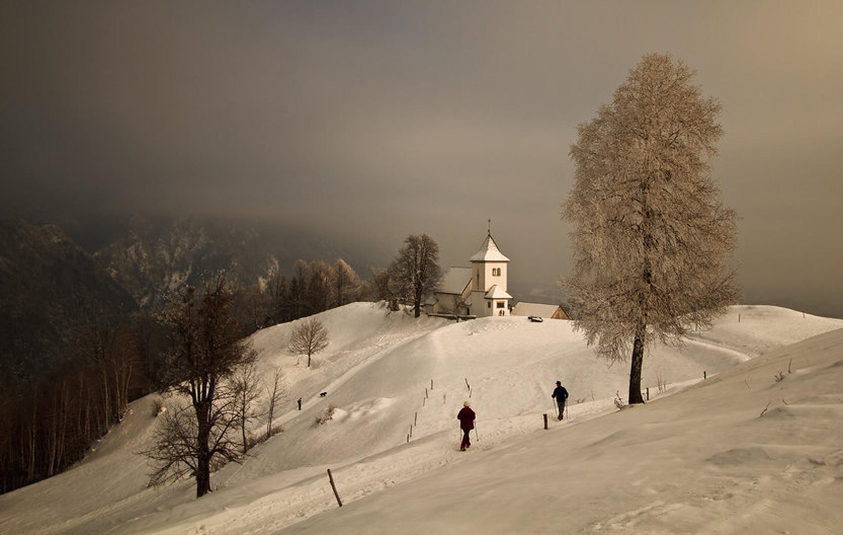 lepo je by Bor