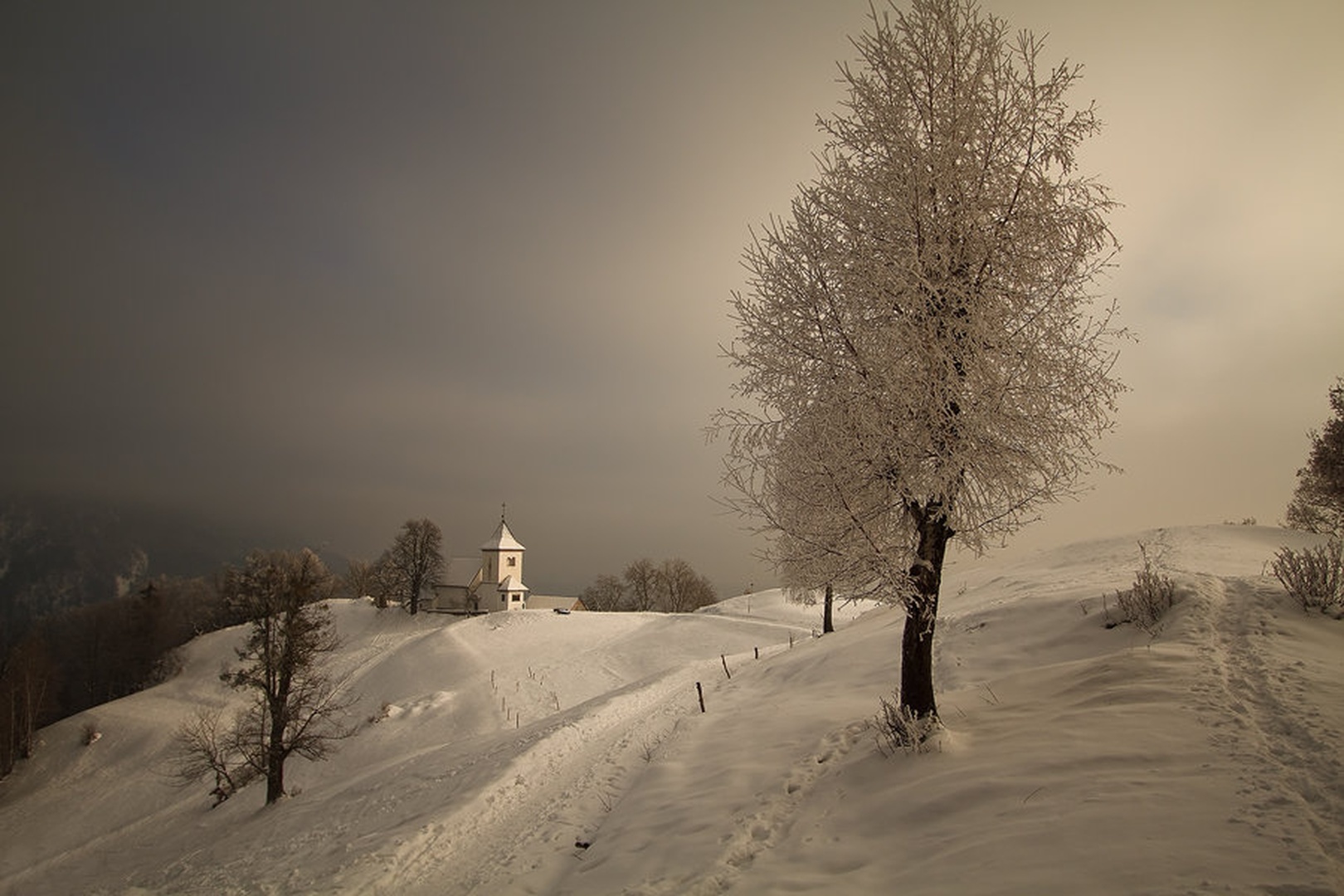 katera by Bor