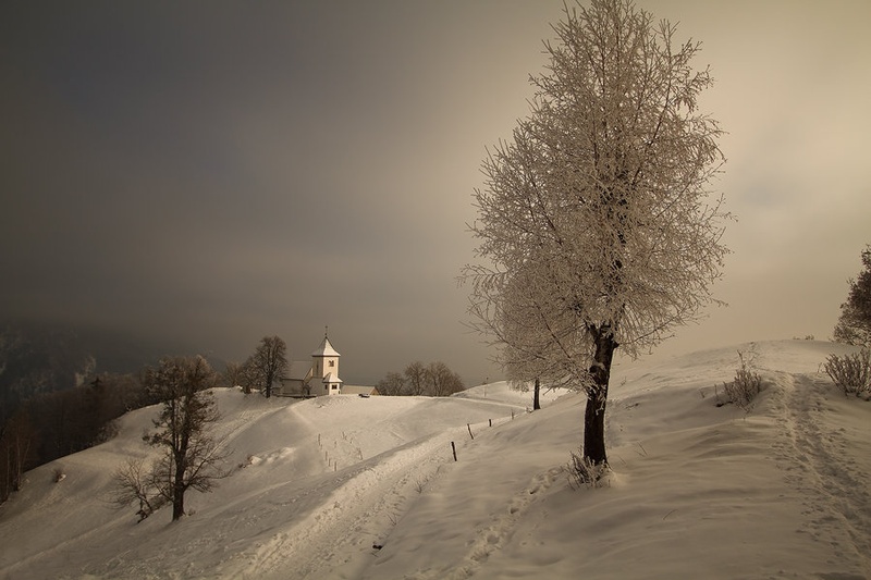 katera by Bor