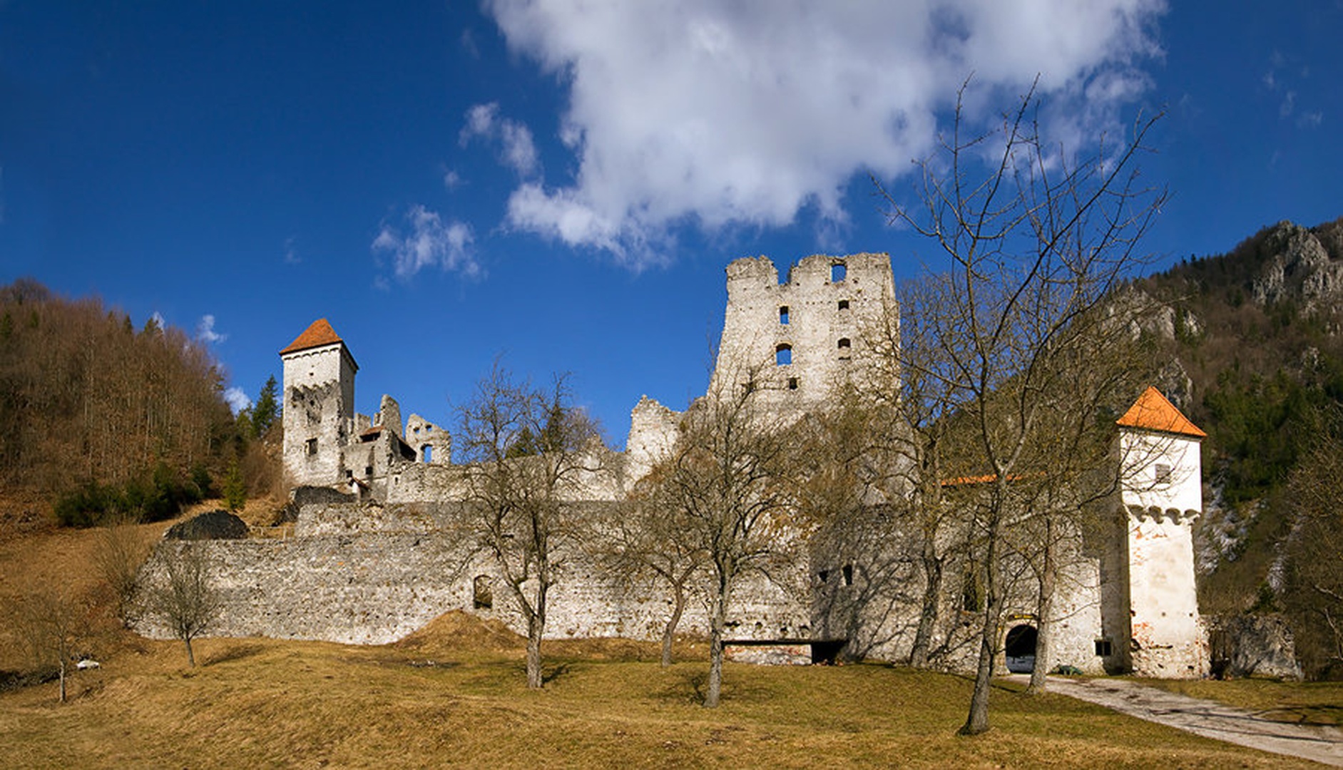 mogočnež by Bor