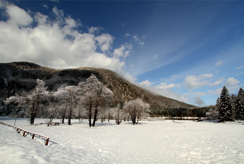 počasi by Bor