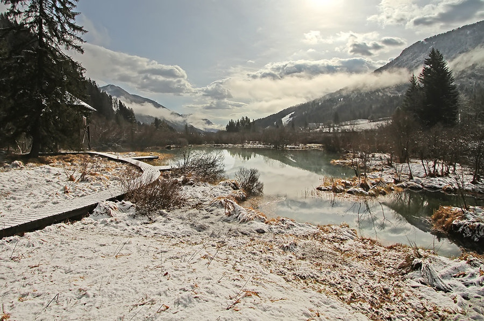 Zelenci by Bor