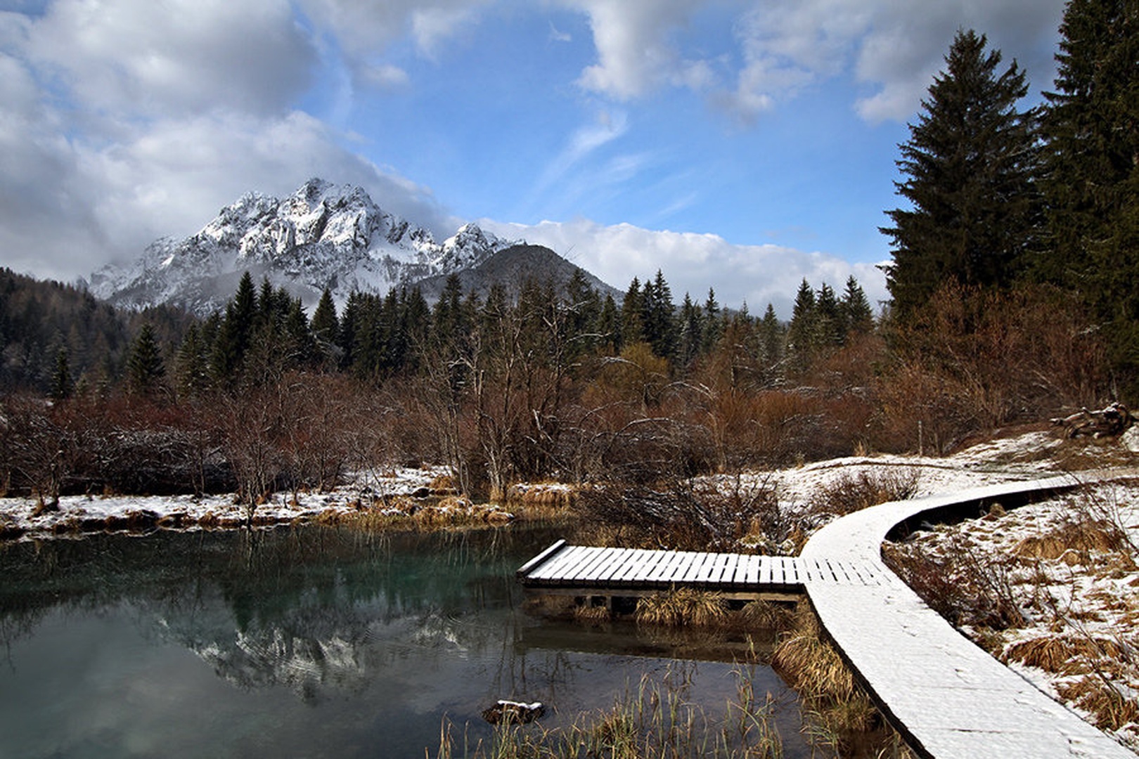 Zelenci No3 by Bor