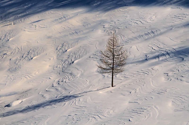 all by myself by Bor