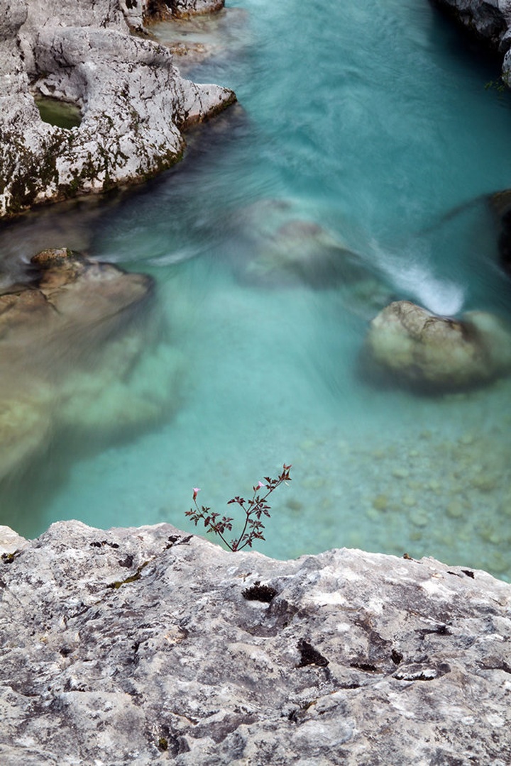 from Soča by Bor