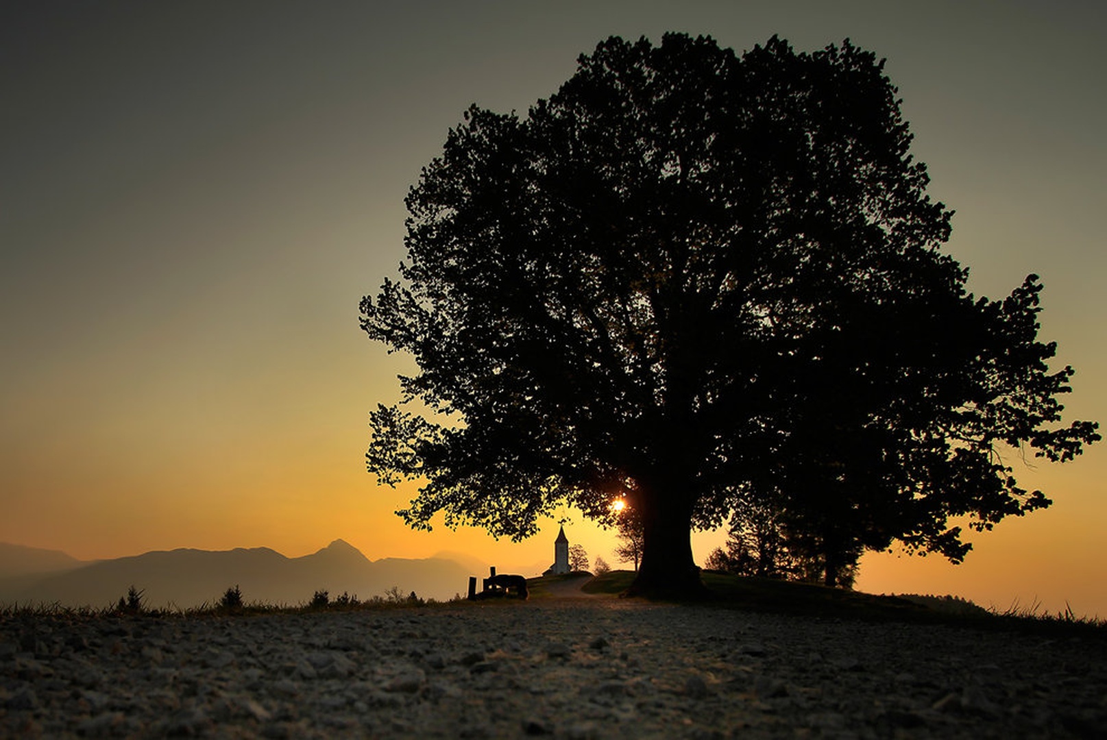 morning has broken No.2 by Bor