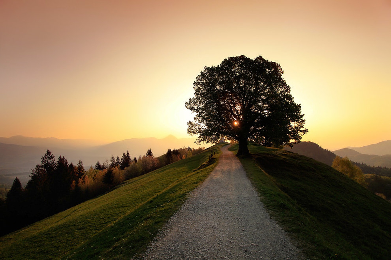 morning has broken No.4 by Bor