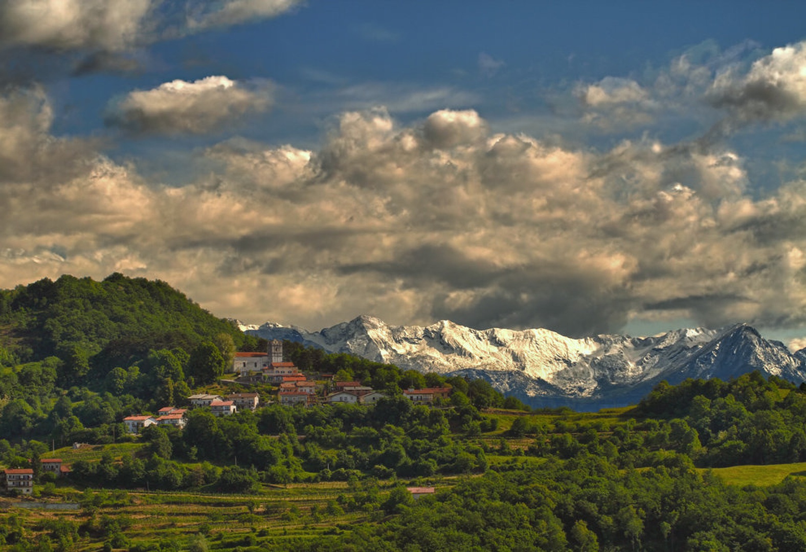 from Brda with love by Bor