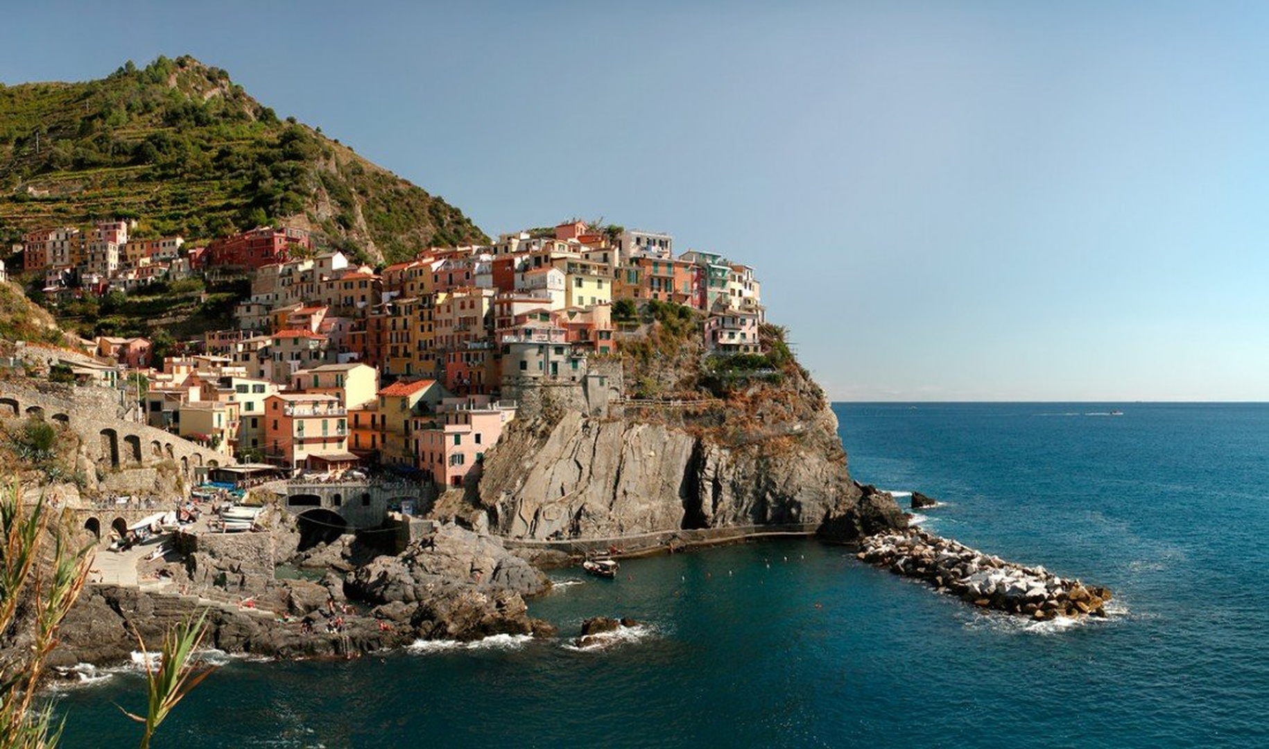 Manarola panorama by Bor