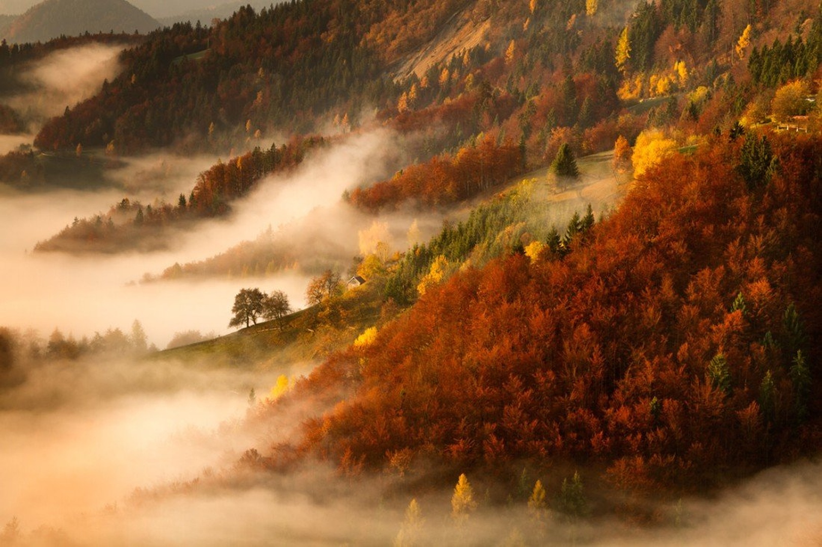this could be No.3 by Bor