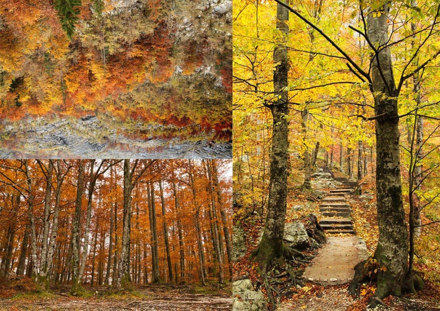 bohinjske barve jeseni by Bor