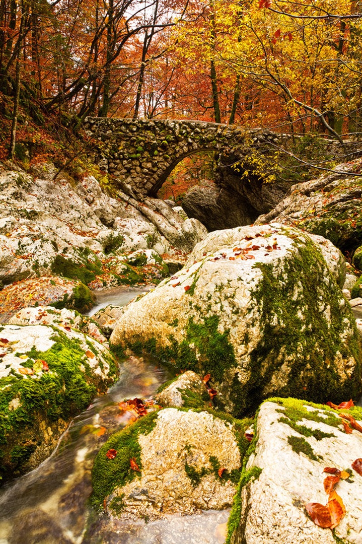 jesen v Bohinju by Bor