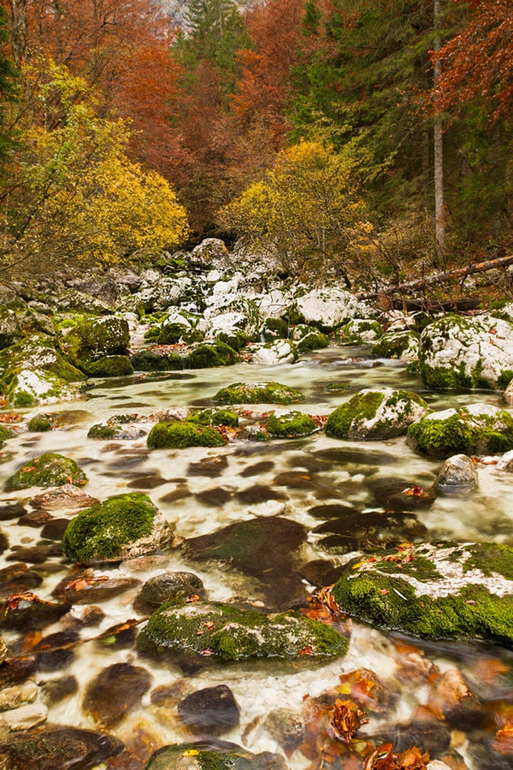 jesen v Bohinju No2 by Bor