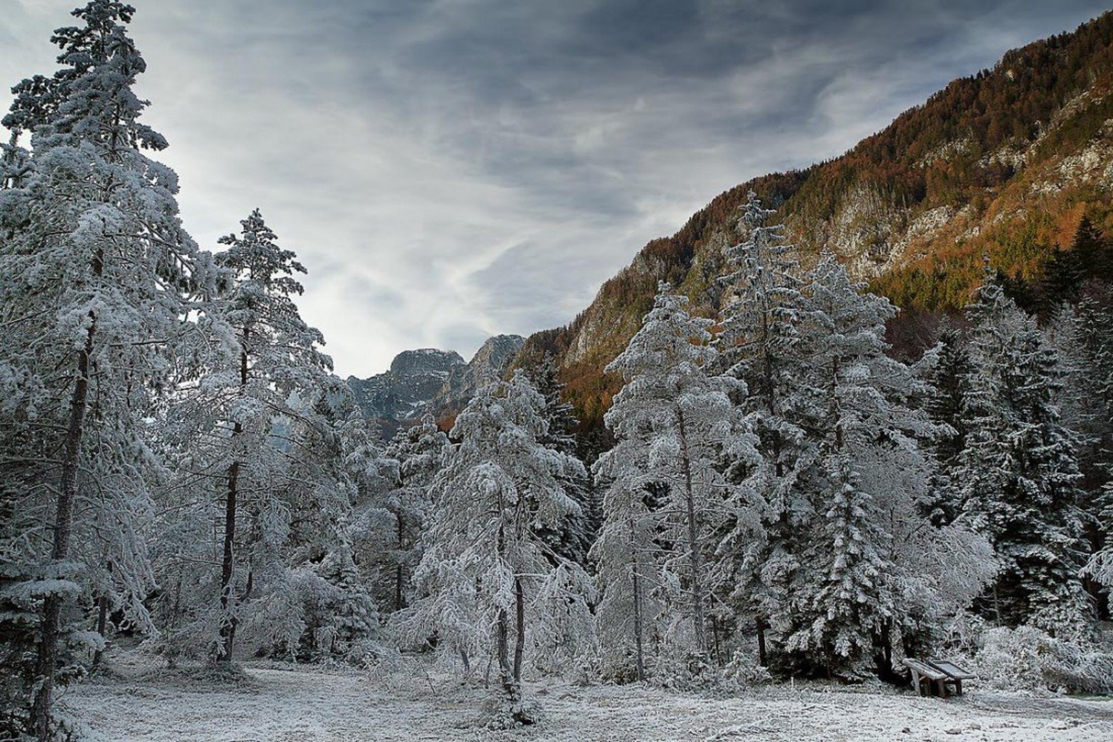 ice age?!?! by Bor