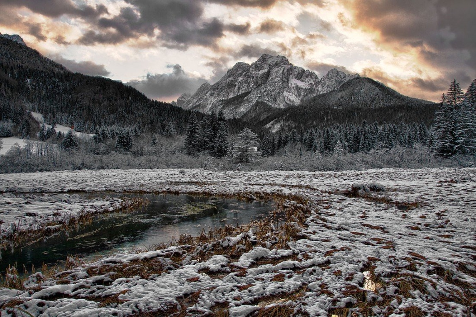 Zelenci No.2 by Bor